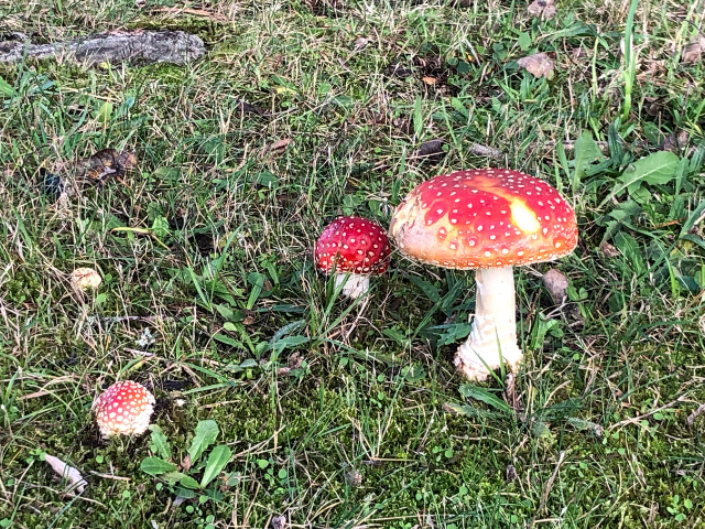 Beleef Texel in de herfst