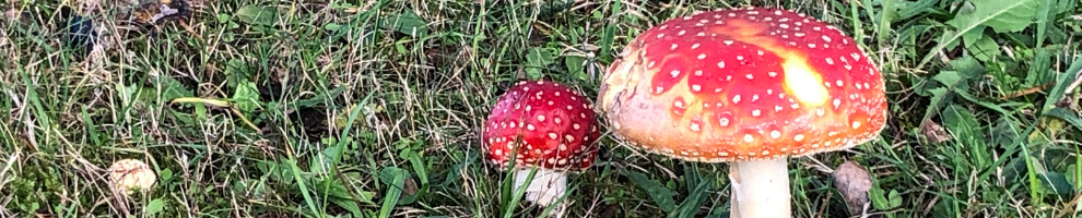 Beleef Texel in de herfst