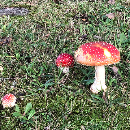 Beleef Texel in de herfst