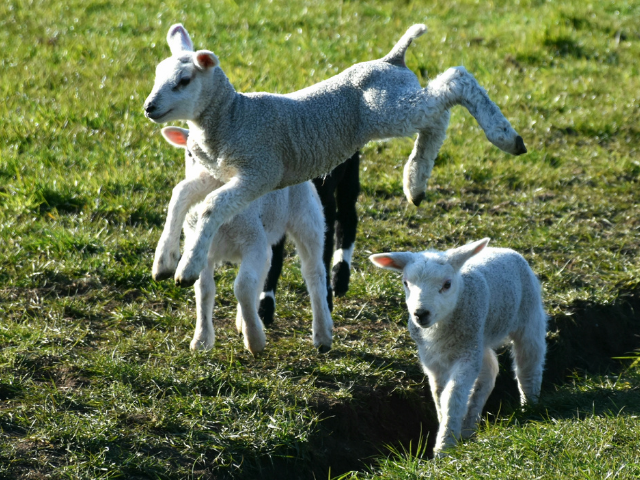 Voorjaarsvakantie op Texel